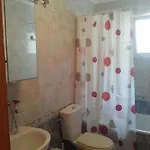 Zoa * Торевьиа