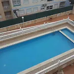 Zoa * Торевьиа