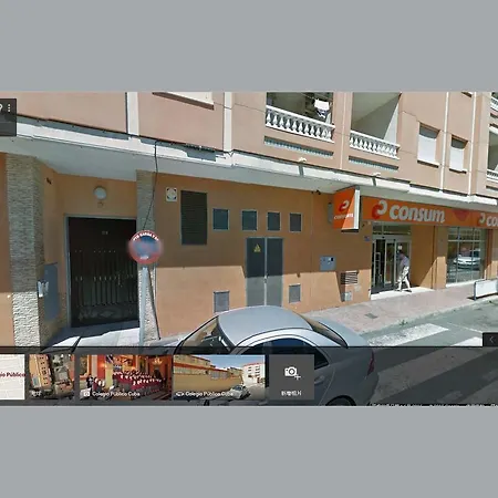 Zoa * Torrevieja